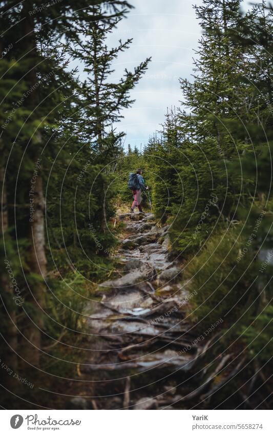 April-Wanderung im Bayerischen Wald Nationalpark erholung erfahrung erlebnis erlebnispfad urlaub ausflug holz outdoor natur naturschutz wegführung wegweiser