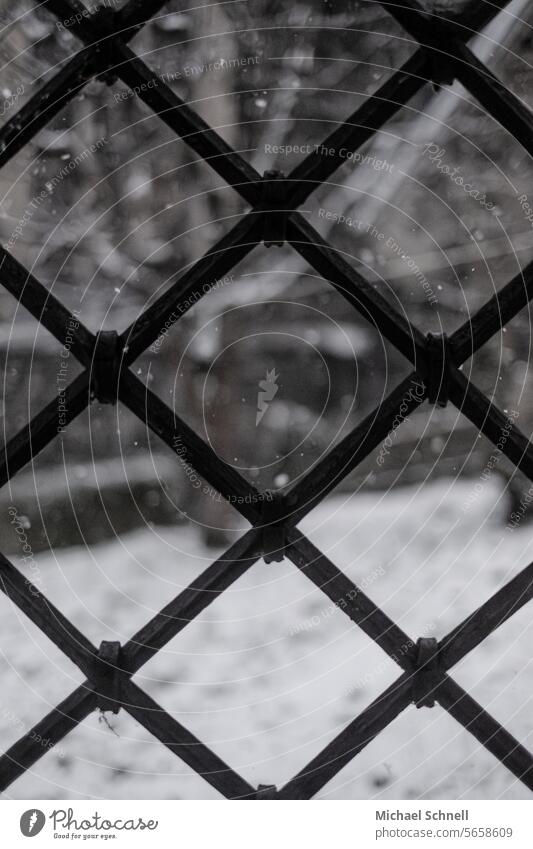 Blick auf den Winter Schnee Schneefall kalt weiß Schneeflocken Winterstimmung winterlich Wintertag Schneegestöber Flockenwirbel Kälte schneien Wetter