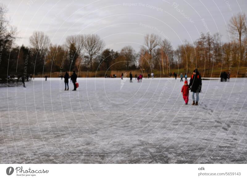 Endlich ist der Weiher im Park zugefroren und viele spazieren übers Eis und genießen den schönen Wintertag. See Wasser Natur Seeufer Umwelt Landschaft Idylle