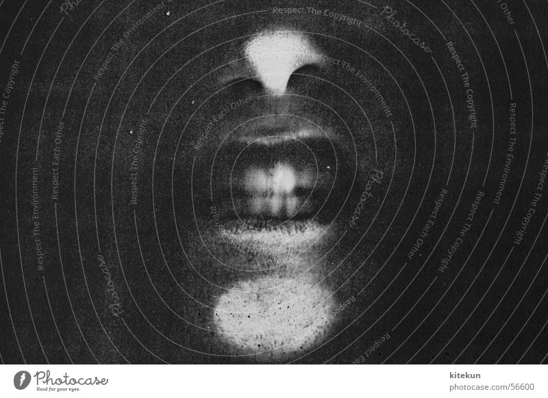 die allerfeinste kopiermanier - seconde Fotokopierer schwarz weiß grau schreien gefangen Fenster dunkel gruselig erstaunt Nase lustig Angst Zähne