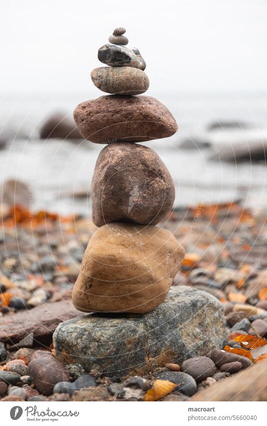 Herbst an der Ostsee mit gefallenem, buntem Laub am Strand und einem Steinstapel strand ostsee buhnen orange rot herbstlich gefärbt färbung sandstrand blatt