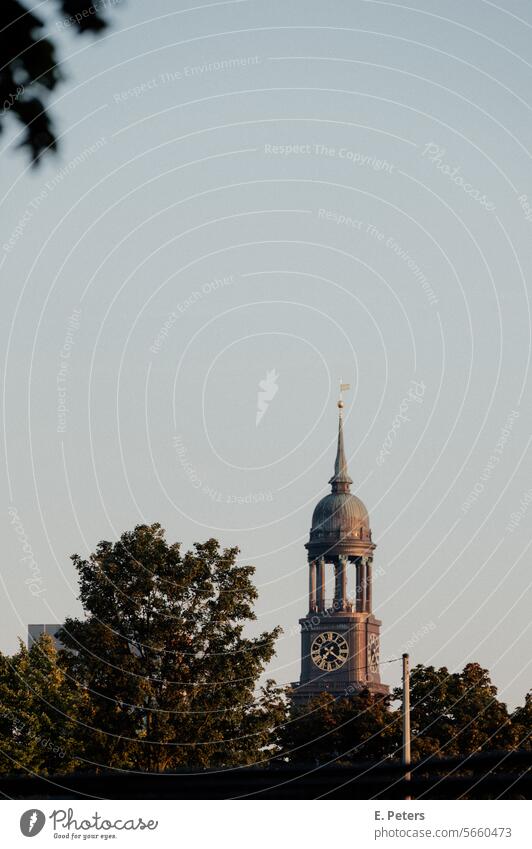 Hamburger Michel in Spätsommer Abendsonne Bäume Pflanzen Blätter Himmel grün Herbst Außenaufnahme Umwelt Sommer Wahrzeichen Hamburger Wahrzeichen