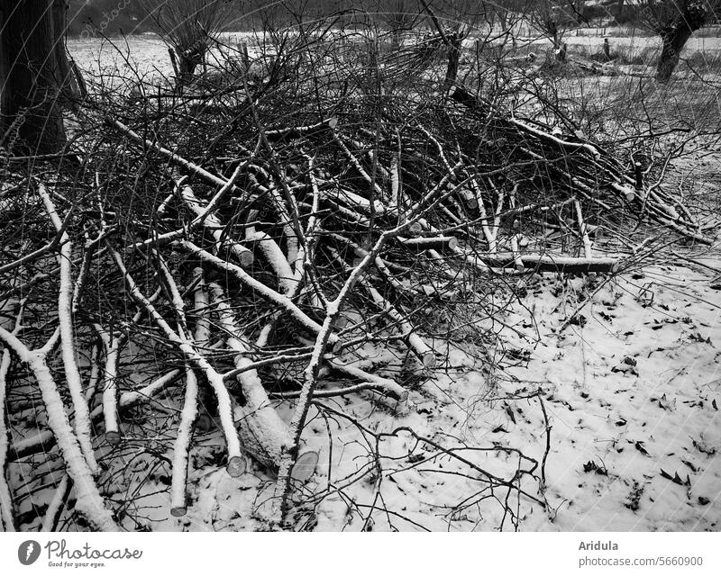 Weg damit! | Baumschnitt | verschneite Äste am Wegesrand s/w Zweige Baumpflege schneiden Garten Haufen Winter Schnee kalt