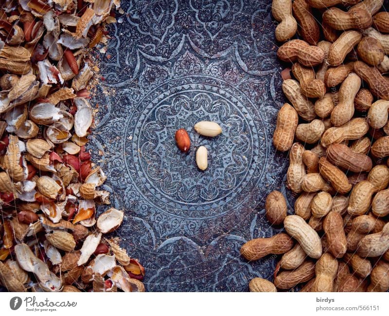 Ordnungsliebe in der Nussschale Erdnuss Schalen & Schüsseln ästhetisch exotisch lecker positiv rund schön genießen Mittelpunkt Kerne Muster Ornament Knabbereien