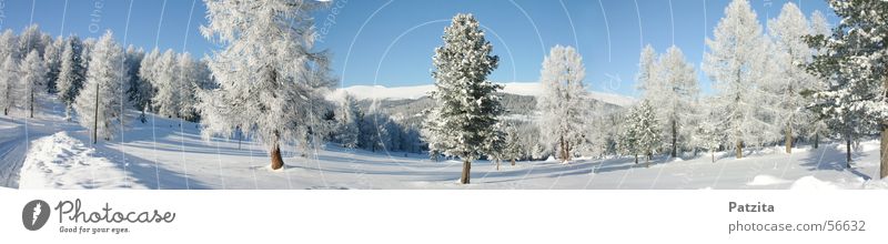 Schnee Schnee Schnee Winter Baum Himmel Berge u. Gebirge Landschaft