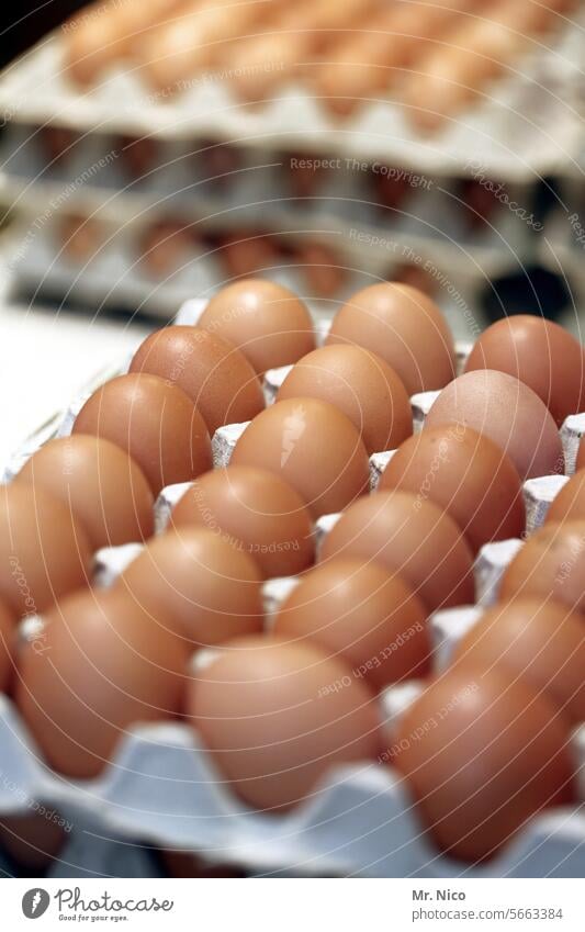 Gekleckere I wenn´s runterfällt Eierkarton Lebensmittel Ernährung Ostern Osterei Hühnerei Bioprodukte Eierschale Frühstück braun Gesundheit Freilandhaltung