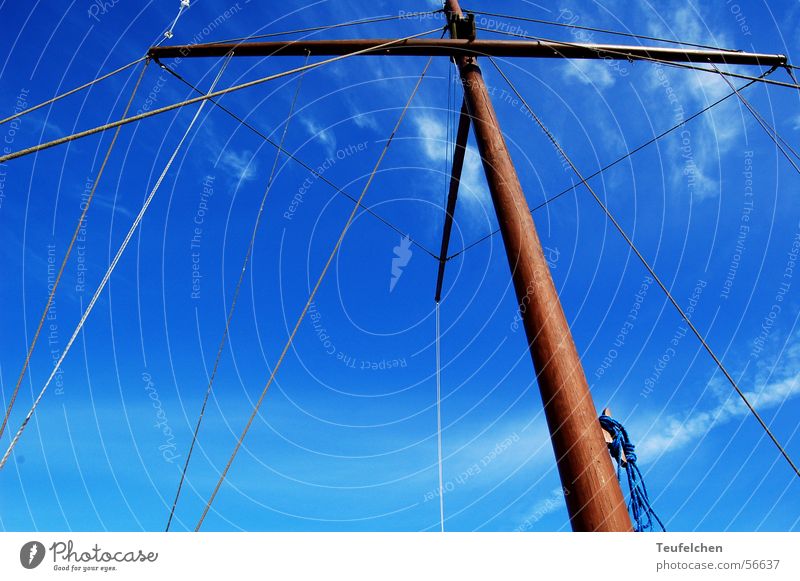 Hoch hinaus Wasserfahrzeug Winter Ringkøbingfjord Holz Strommast Segel Hafen Dänemark Himmel blau Sonne Seil