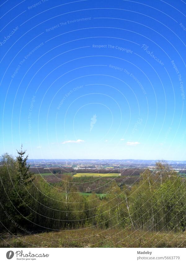 Blick vom Tönsberg auf das Lipperland bei blauem Himmel und Sonnenschein in Oerlinghausen bei Bielefeld am Hermannsweg im Teutoburger Wald in Ostwestfalen-Lippe