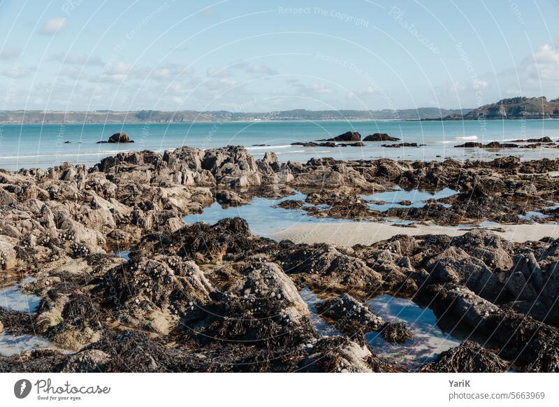 Bretagne - Gezeitenpools Frankreich Meer Strand Urlaub Küste Felsen Wasser Meeresufer Meerwasser meeresbrise muscheln küstenwanderung gezeiten blau