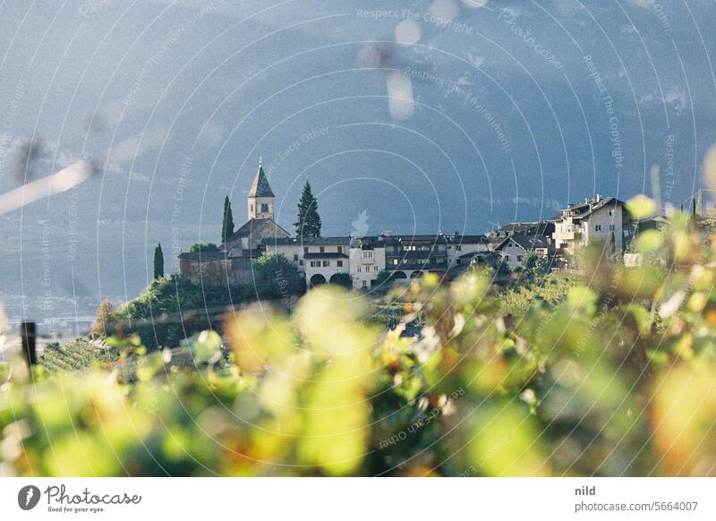 St. Jakob in Kastelaz, Tramin, Südtirol Außenaufnahme Farbfoto ruhig Menschenleer Idylle Landschaft Erholung Analogfoto Kodak Herbst friedlich Ruhe