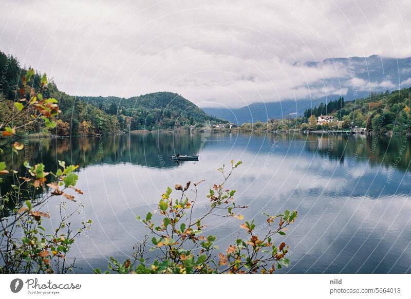 Montiggler See in Südtirol Wasser Natur Außenaufnahme Farbfoto Wald Baum Umwelt ruhig Menschenleer natürlich Idylle Landschaft Biotop grün Erholung Analogfoto