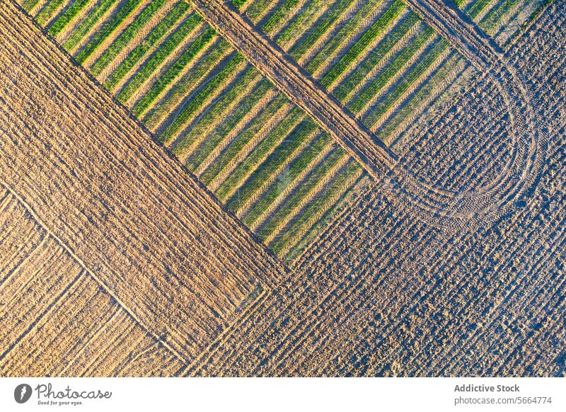 Draufsicht auf landwirtschaftliche Felder, die die Überschneidung verschiedener Bepflanzungstechniken zeigen, wodurch ein Mosaik aus grünen und braunen Streifen entsteht