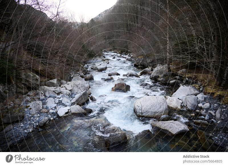 Ruhiger Fluss, der durch eine felsige Landschaft fließt Wald Felsen Wasser strömen Natur Kaskade Stein übersichtlich Berge u. Gebirge Gelassenheit fließen