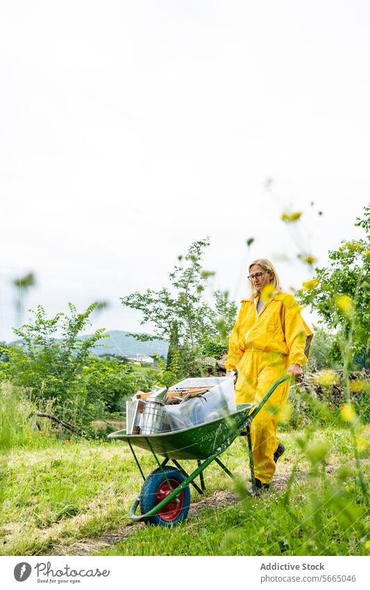 Erwachsene Frau mit Brille und gelbem Imkerschutzanzug mit Schubkarre bei der Arbeit in einem grünen Bienenhaus Wiese Bienenkorb gesamt Feld Senior Bienenstock