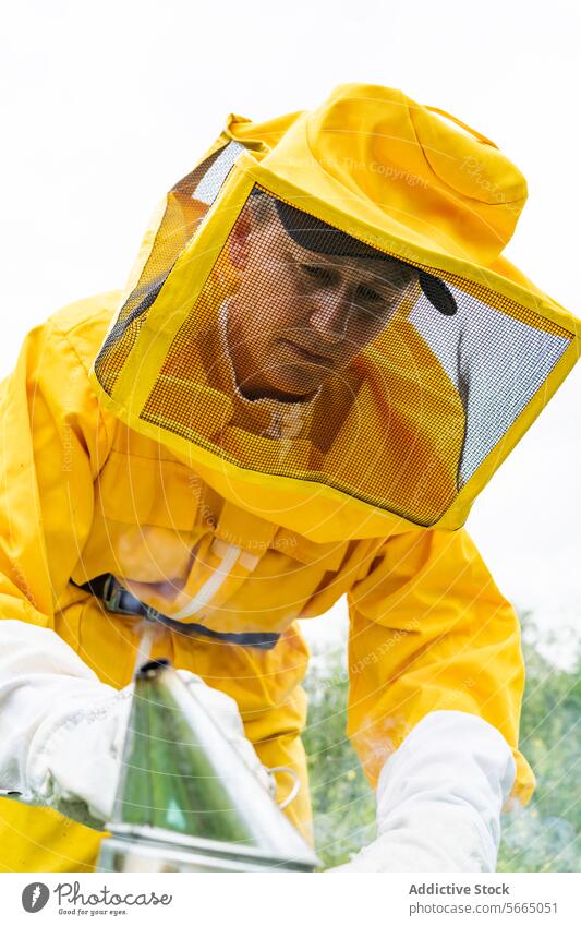 Fokussierter Imker im Bienenstock bei der Arbeit Frau Bienenkorb behüten Anzug Konzentration gelb Senior professionell Beruf beschäftigt Business Gerät Sommer