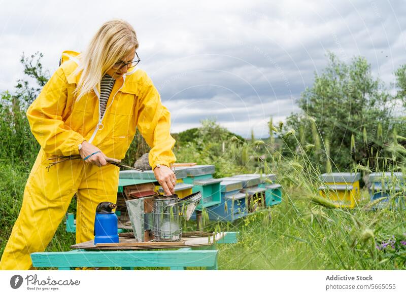 Imkerin bei der Arbeit im Bienenstock Frau Bienenkorb Bienenraucher gesamt Konzentration Brille Gras Dame professionell Fokus Werkzeug Landschaft ländlich Beruf