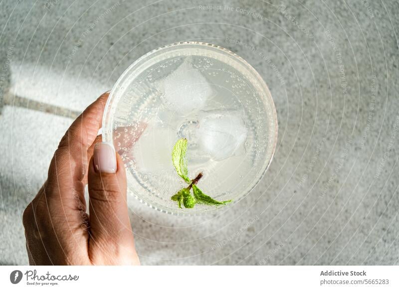 Erfrischungsgetränk mit Limette und Minze in einem Glas in der Hand trinken Kalk Eis Vodka frische Minzblätter Eiswürfel durchsichtig Nahaufnahme Getränk kalt