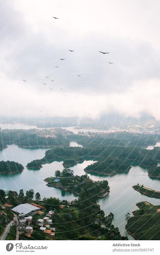 Gelassene Seenlandschaft mit fliegenden Vögeln in Guatapé Landschaft Wasser Grün Ruhe Natur wolkig Himmel Gelassenheit im Freien Antenne Ansicht Wald ländlich