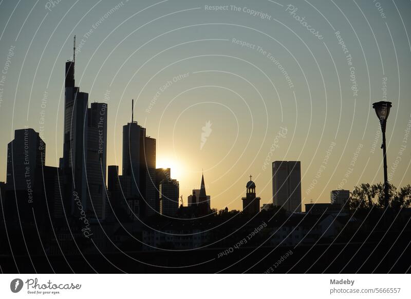 Die Skyline mit dem Bankenviertel und seinen Wolkenkratzern mit Straßenlaterne auf der Alten Brücke im Licht der untergehenden Sonne im Sommer in Frankfurt am Main in Hessen