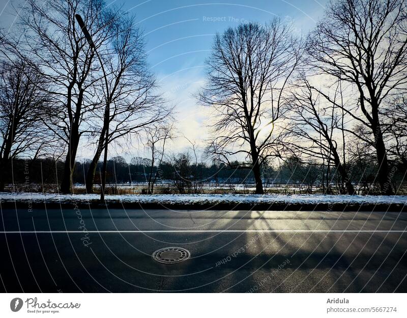 Straße mit Gullideckel vor Winterlandschaft Landschaft Bäume Menschenleer Autofrei Verkehr Schnee Winterstimmung Gegenlicht Sonne Schatten Abendstimmung