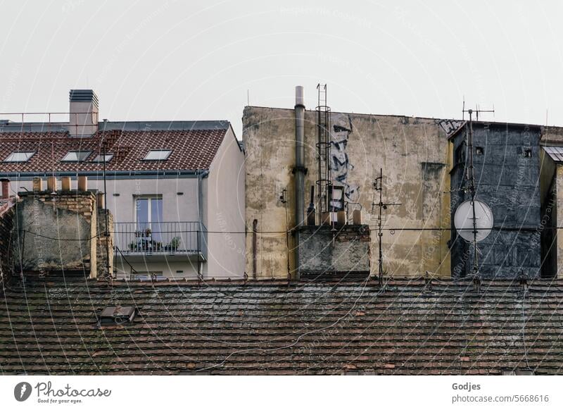 Hausgiebel in Prag dächer Gebäude Architektur Himmel Dächer Fassade Stadt Wand Altstadt Fenster Bauwerk Dach Außenaufnahme Menschenleer Tag Farbfoto