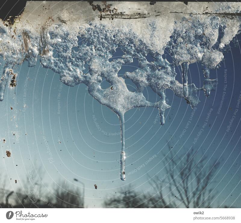 Lange Nase Eis Eiszapfen Winter kalt gefroren frieren blau Farbfoto Frost Kälte Winterstimmung Wasser Wintertag Menschenleer Glasscheibe Gewächshaus winterlich