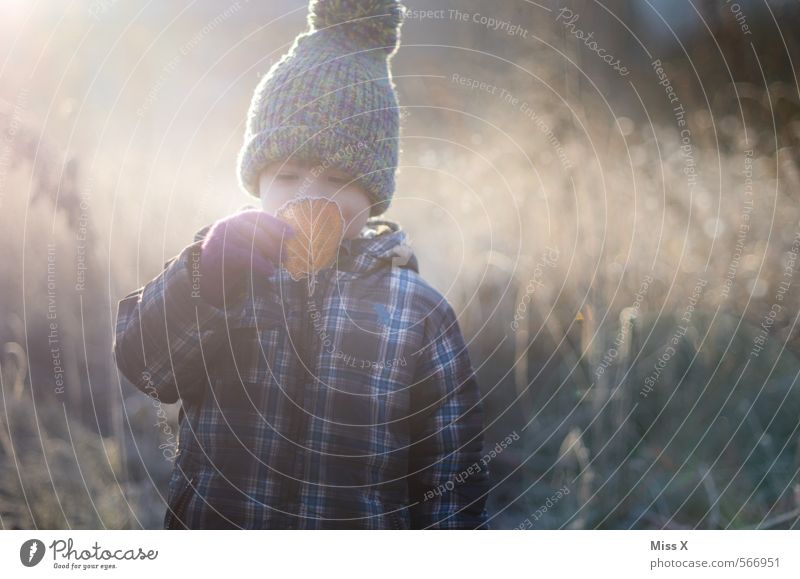 Raureif Spielen Garten Mensch maskulin feminin Kleinkind 1 1-3 Jahre 3-8 Jahre Kind Kindheit Natur Winter Wetter Eis Frost Schnee Gras Sträucher Blatt Mütze