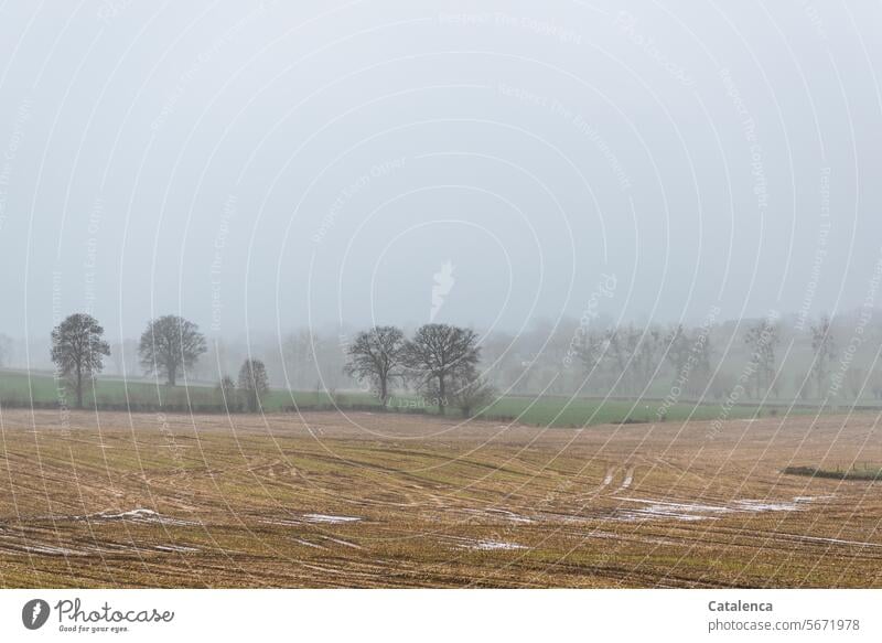 Unveränderte Wetterlage Tageslicht kalt Winter Wiese Gras Horizont Bäume Wiesen Felder Regen Nebel Nieselregen Pfützen Himmel bewölkt Trauer Landschaft Natur