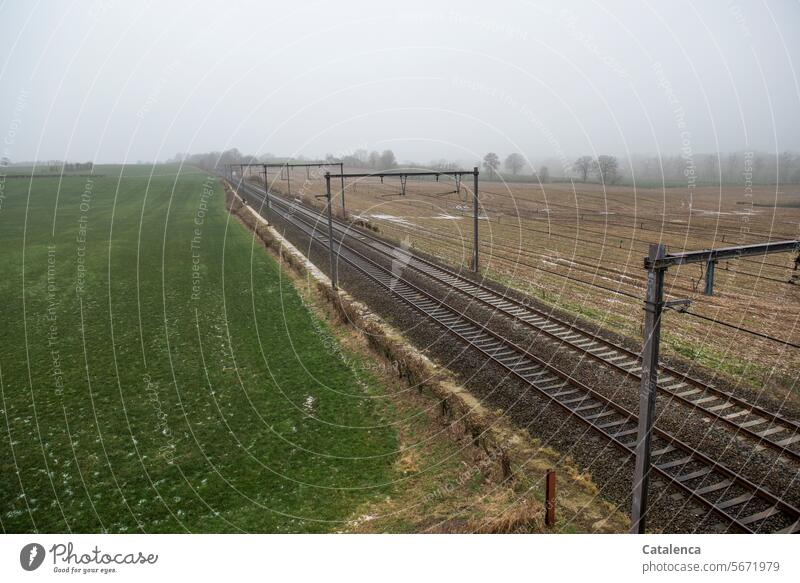 Stillstand auf den Schienen Schienenverkehr Gleise Eisenbahn Bahn Verkehrswege Bahnfahren Schienennetz Personenverkehr Felder Wiesen Bahnstrecke Bäume Horizont