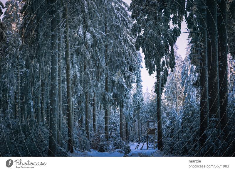 Jägerhochstand im Winterwald Jagd Hochsitz Jägersitz Außenaufnahme Baum Bäume Wald Landschaft Hochstand Holz Natur Umwelt beobachten Menschenleer Schnee Tannen