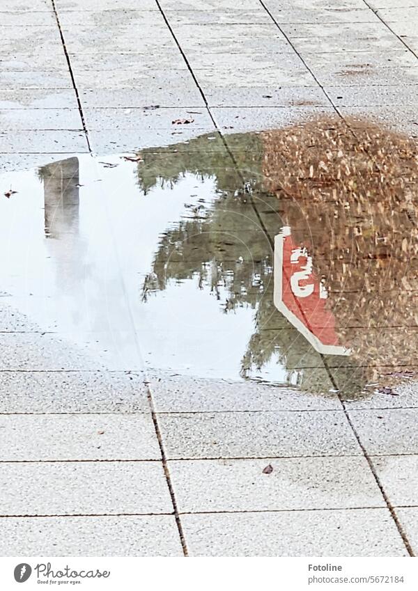 In dieser Pfütze spiegelt sich meine Arbeitswelt. Der rauchende Schornstein des Kraftwerks und zwischen Baum und Hecke lugt ein Stoppschild hervor. Drauf steht aber nicht "Stopp", sondern "Smile". Eine kleine Botschaft an unsere Gäste.