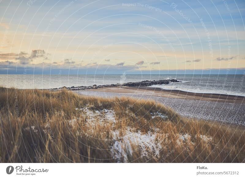 Strand an der dänischen Nordseeküste im Winter Landschaft Dänemark Küste Dünen Schnee Natur Ferien & Urlaub & Reisen Himmel Sand Dünengras Wolken Erholung