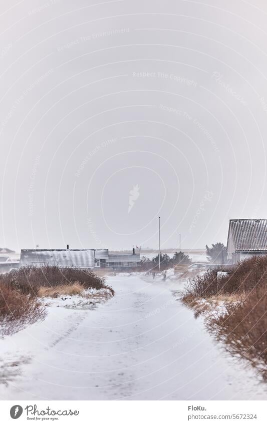 Schneesturm in Dänemark Eis kalt Kälte Glatt Glatteis verschneit Winter Frost winterlich weiß Winterstimmung Straße glatt Wetter Wintertag Schneedecke