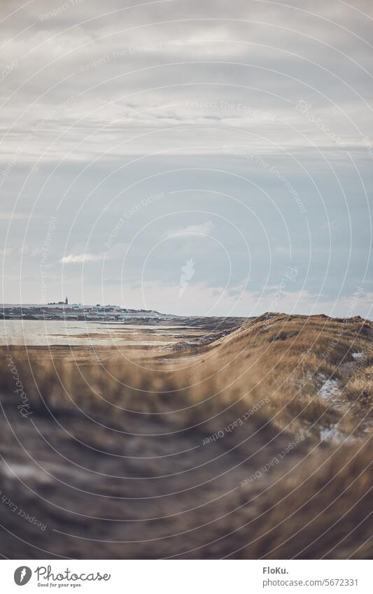 Dänische Nordseeküste im Winter Landschaft Dänemark Strand Küste Dünen Schnee Natur Ferien & Urlaub & Reisen Himmel Sand Dünengras Wolken Erholung Tourismus