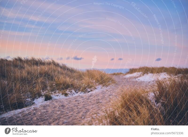 Dänische Nordseeküste im Winter Landschaft Dänemark Strand Küste Dünen Schnee Natur Ferien & Urlaub & Reisen Himmel Sand Dünengras Wolken Erholung Tourismus