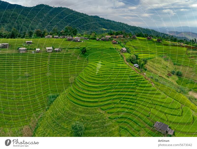 Landschaft mit grünen Reisterrassen inmitten der Berglandwirtschaft. Reiseziele in Chiangmai, Thailand. Terrassenförmig angelegte Reisfelder. Traditionelle Landwirtschaft. Asiatisches Essen. Thailand Tourismus. Naturlandschaft.