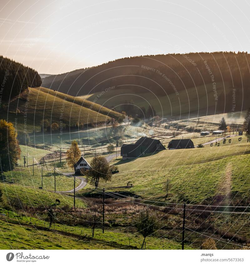 Schwarzwald ländlich Stimmung schön natürlich Erholung Hügel Wald Wiese Baum Schönes Wetter Sommer Himmel Landschaft Natur Ausflug Tourismus Morgenstimmung