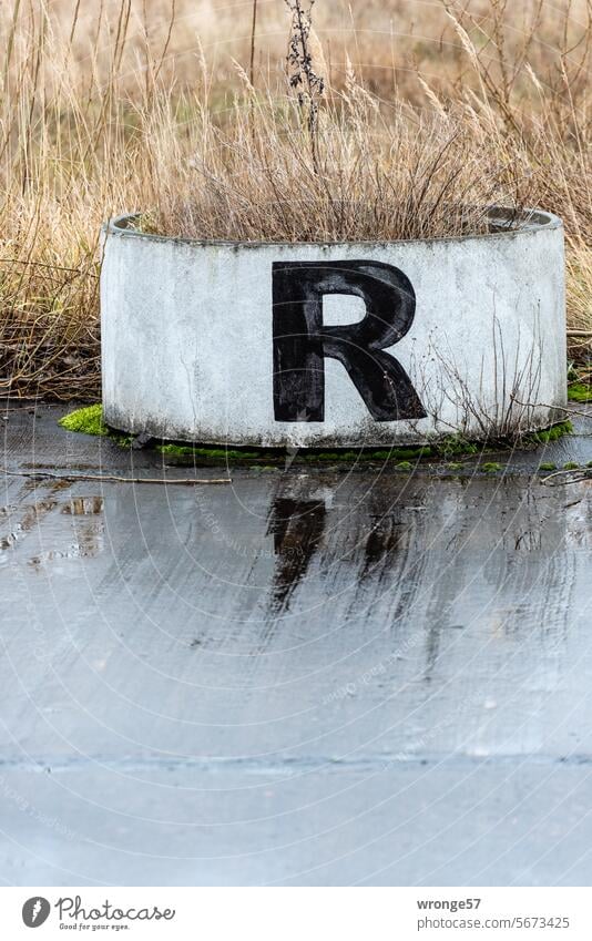 R wie …| Regentag Thementag Buchstabe Regenwetter nass Betonring Straße Asphalt Spiegelung Reflexion & Spiegelung schlechtes Wetter grau Pfütze Außenaufnahme