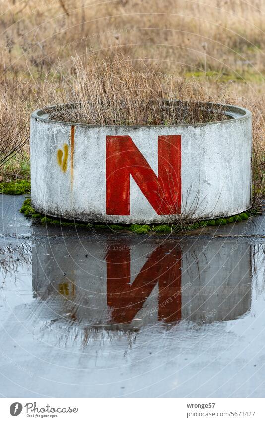 Ein rotes N auf einem weißen Betonring spiegelt sich in einer Regenpfütze Buchstabe Regenwetter Regentag nass Straße Asphalt Spiegelung Reflexion & Spiegelung