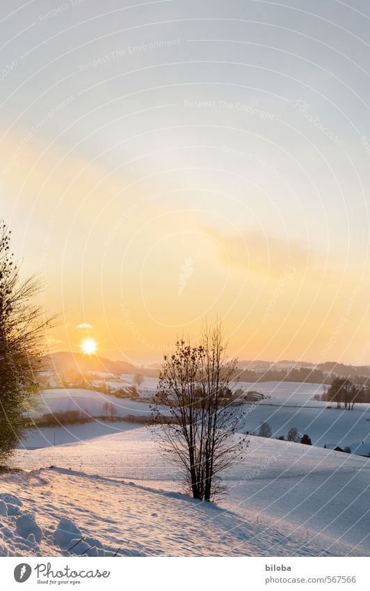 Was für ein Sommerwetter Landschaft Pflanze Sonne Winter blau gelb orange weiß Gefühle Hügel Schweiz Schwarzenburg Farbfoto Außenaufnahme Textfreiraum oben