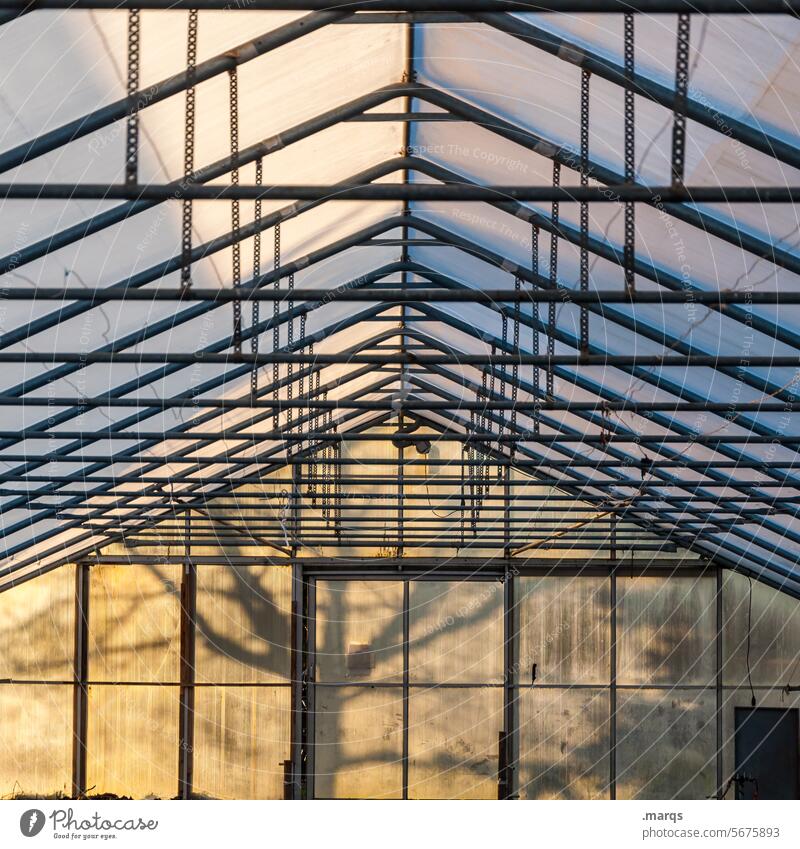 Gewächshaus Botanik Glas Schatten Sonnenlicht Baum Gartenarbeit Wachstum Natur natürlich Bioprodukte Gerüst