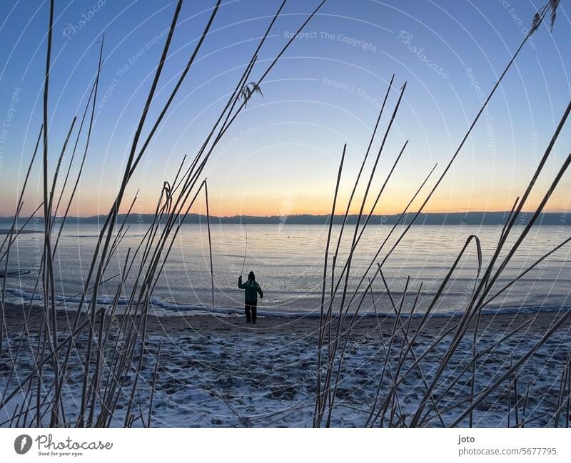 Kind am Meer beim Sonnenaufgang Schnee Winter abhärten kalt kalte Jahreszeit kalte Temperatur eisig kalt mutig Lebensfreude Freiheit Kälte Außenaufnahme