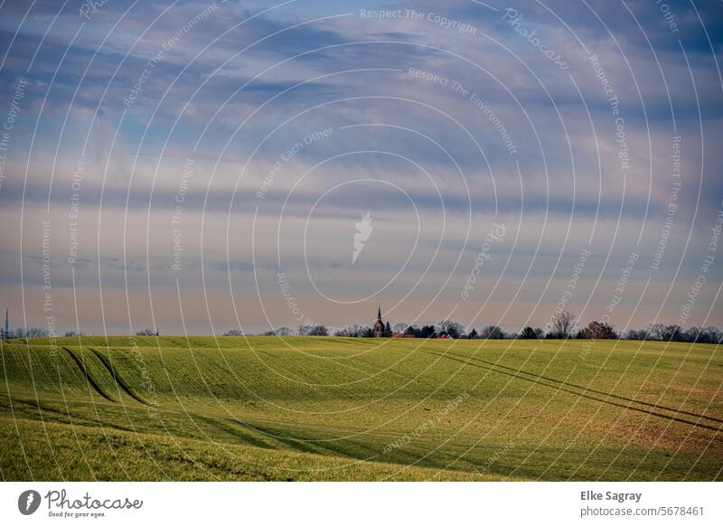 Leeres ,weites Feld mit Setzlingen -Blick von Schöneiche,, auf die Kirche von Münchehofe setzlinge Natur Wachstum Erde Nutzpflanze Farbfoto Ackerbau