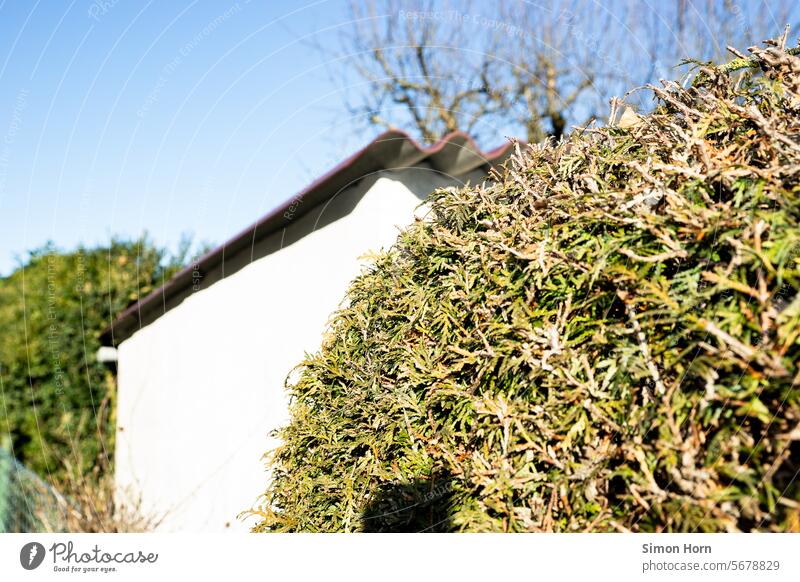 Schuppen zwischen zwei Hecken Geräteschuppen Gebüsch Grundstück Grundstücksgrenze Hütte Nachbarschaft Sichtschutz Garten Wohngebiet Siedlung Grenze