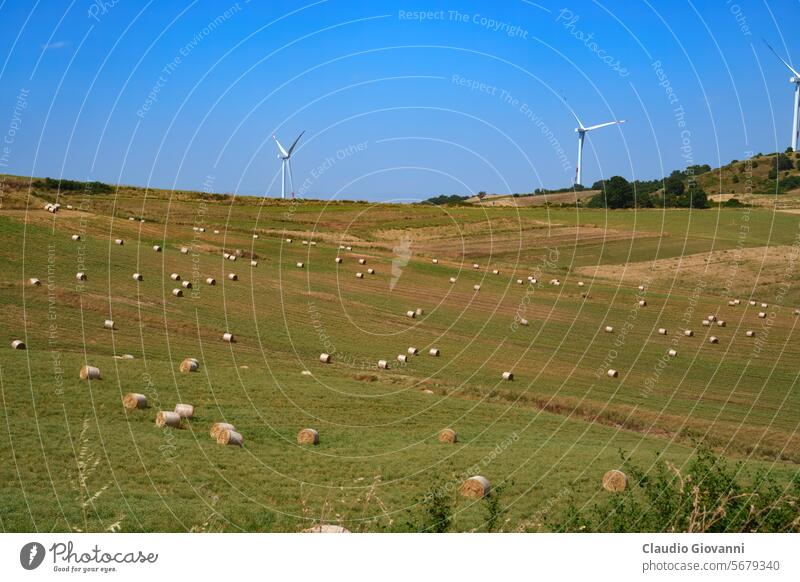 Ländliche Landschaft bei Tricarico und San Chirico, Basilikata, Italien Europa Potenza Ackerbau Ballen Farbe Tag Feld Hügel Berge u. Gebirge Natur Fotografie