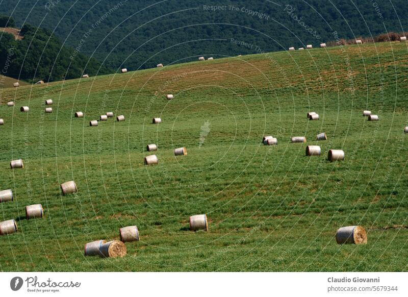 Ländliche Landschaft bei Tricarico und San Chirico, Basilikata, Italien Europa Potenza Ackerbau Ballen Farbe Tag Feld Hügel Berge u. Gebirge Natur Fotografie