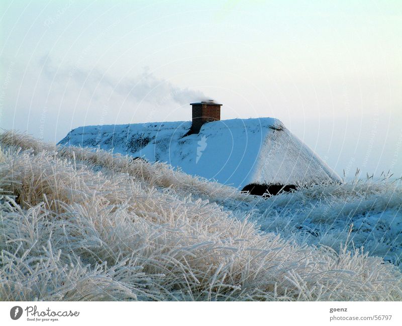 Warmes Heim Haus Winter kalt Reetdach Strohdach Stranddüne Ferien & Urlaub & Reisen Nordsee Dänemark Schornstein Rauch