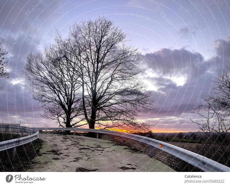 Eine Strasse über die Brücke, kahle Bäume, die Sonne geht am Horizont unter kalt Wolken Landschaft Himmel Umwelt Tag Natur Tageslicht Wiesen Winter