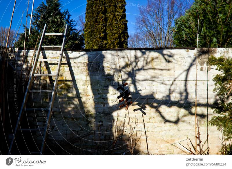 Mauer im Gärtchen ast baum erholung ferien garten hecke kleingarten kleingartenkolonie menschenleer morgen nachbarschaft natur pflanze rauhreif ruhe saison