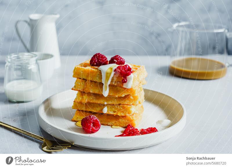 Waffeln mit frischen Himbeeren und Honig Stillleben Dessert Frühstück Teller süß Lebensmittel lecker Frucht Beeren gebacken Zucker selbstgemacht Foodfotografie